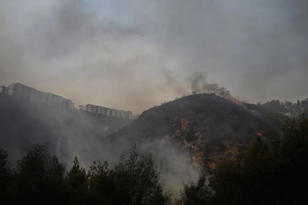 Um incêndio florestal afetou as colinas em Quilpe, Viña del Mar, Chile