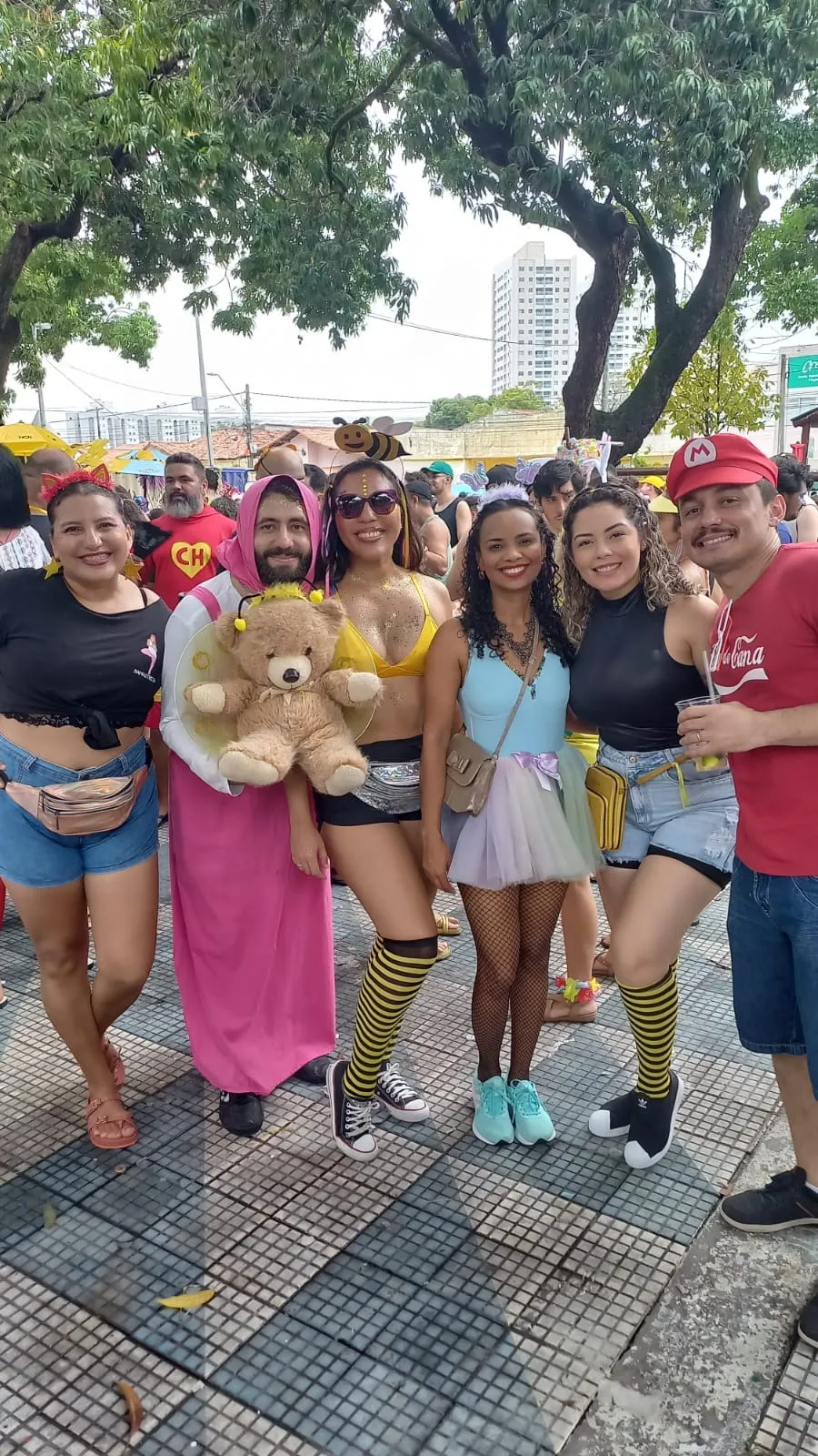 Foliões compareceram em grande número ao pólo do Benfica neste domingo (11)