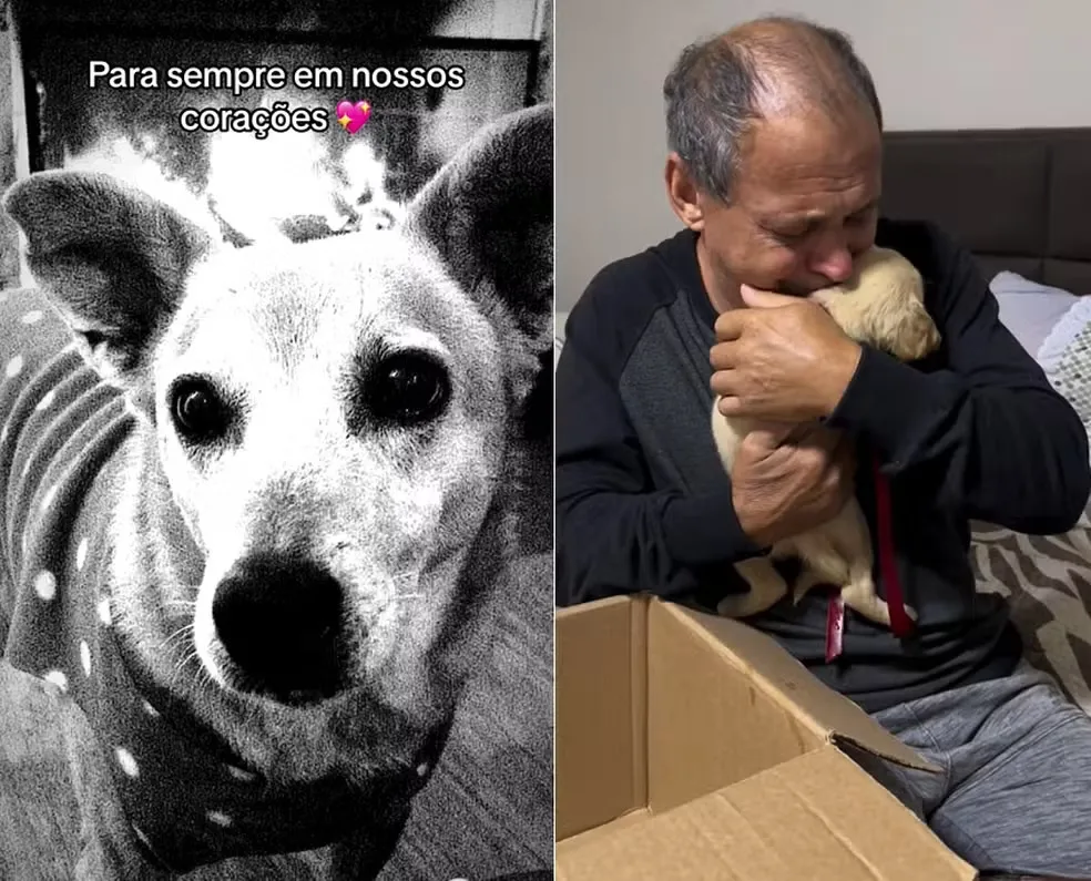Em outubro do ano passado, Clarinha, sempre presente nos principais momentos da família, morreu; uma perda que Edimilson, desde a data, tentava superar