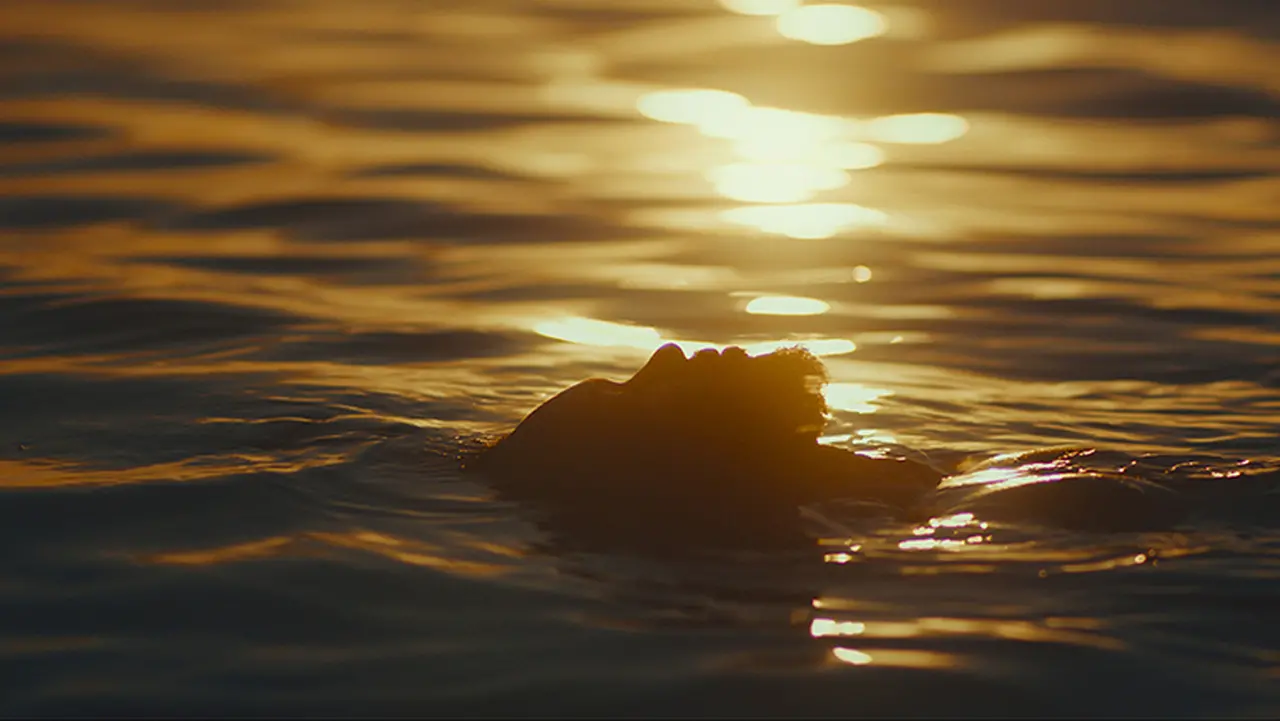 Estranho Caminho, de Guto Parente, foi um dos filmes finalistas para representar o Brasil no Oscar de 2024