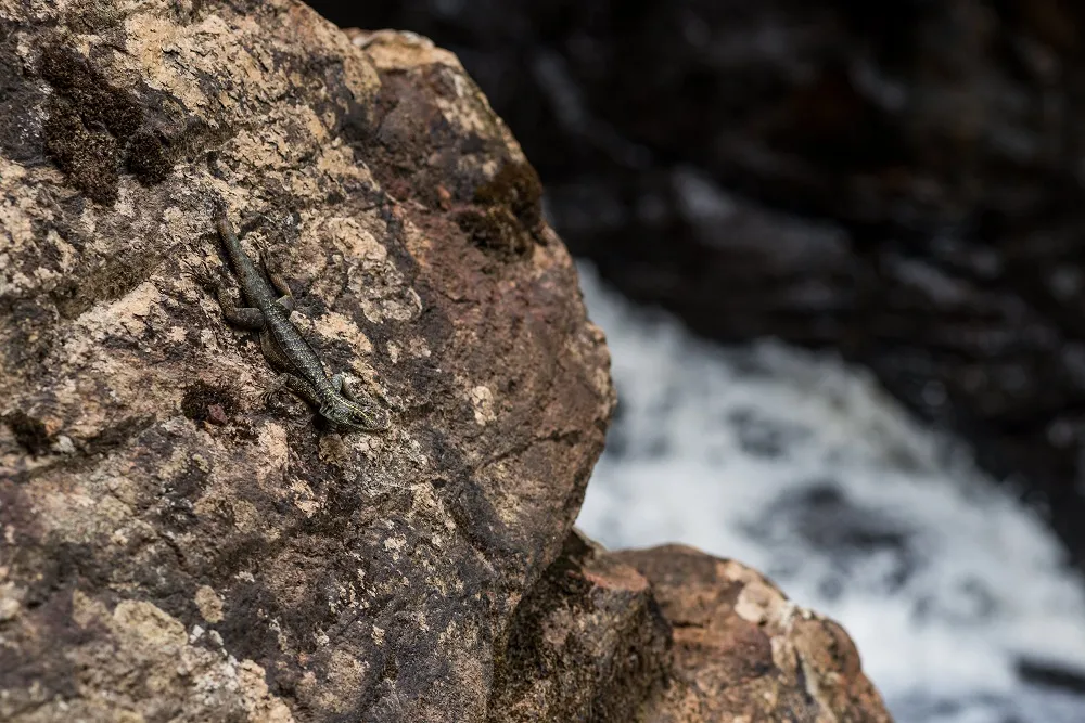 A Cachoeira do Perigo integra o GuaraPark, em Baturité