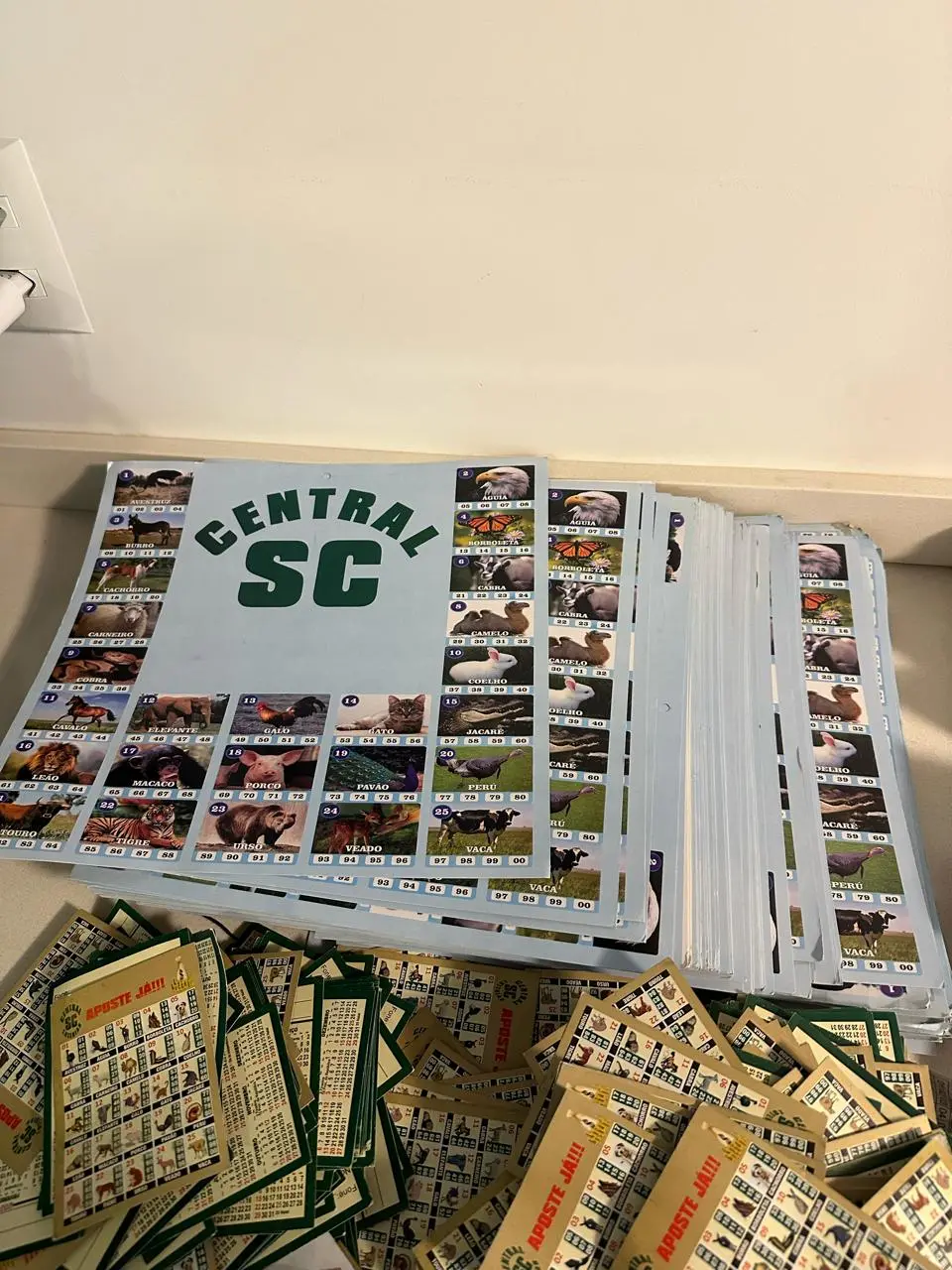 Organização criminosa praticava jogo do bicho no Ceará