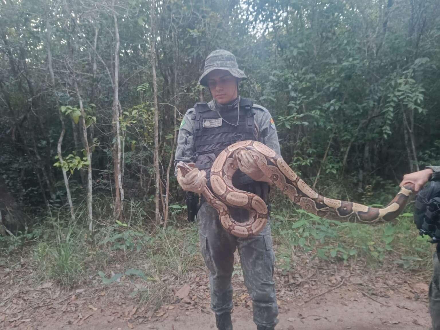 Policial segura jiboia resgatada