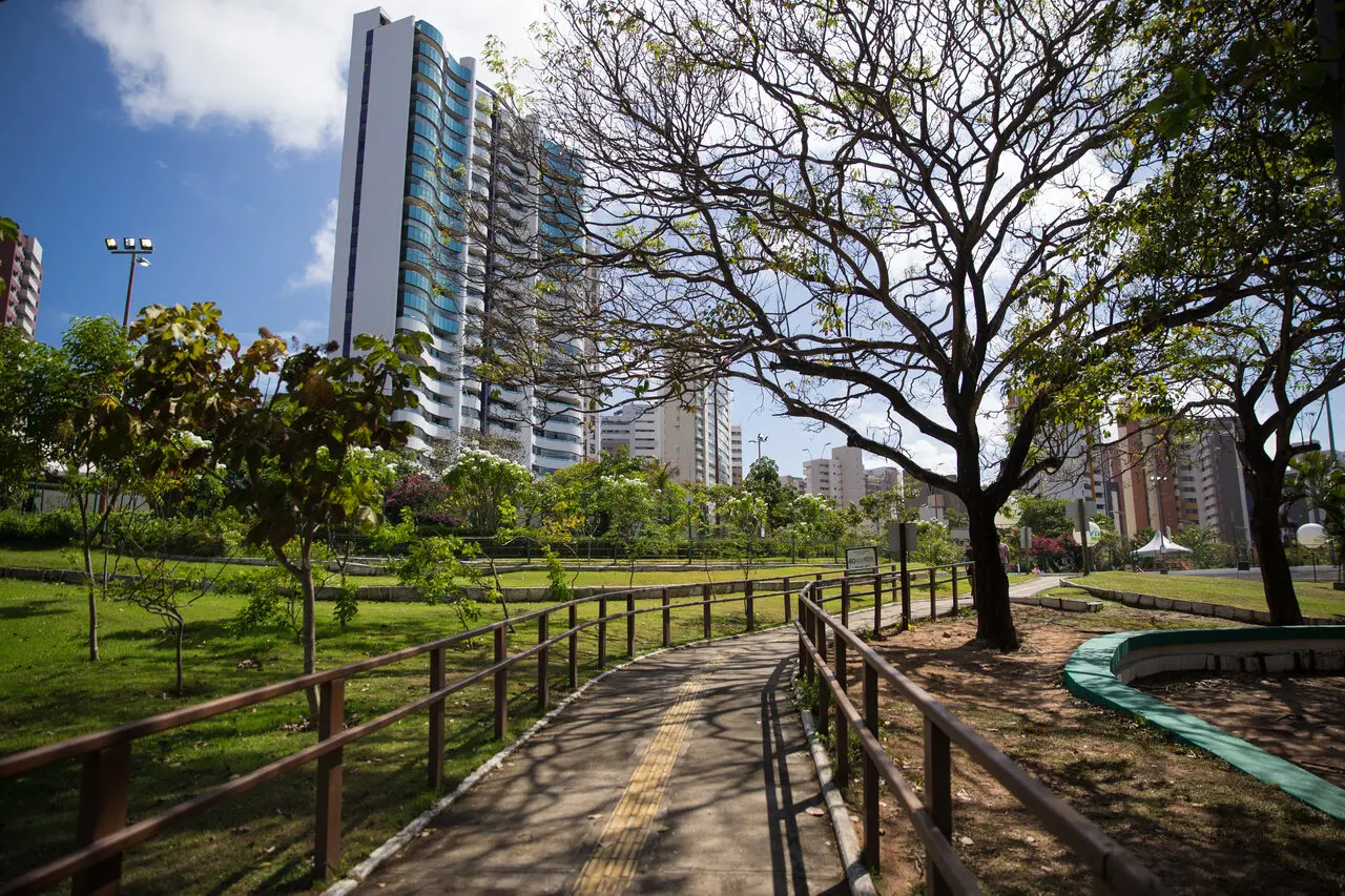 Parque com árvores e prédio ao fundo