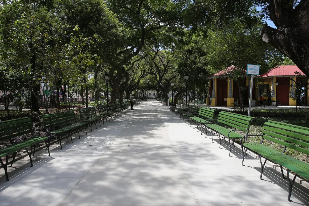 Parque com árvores e bancos