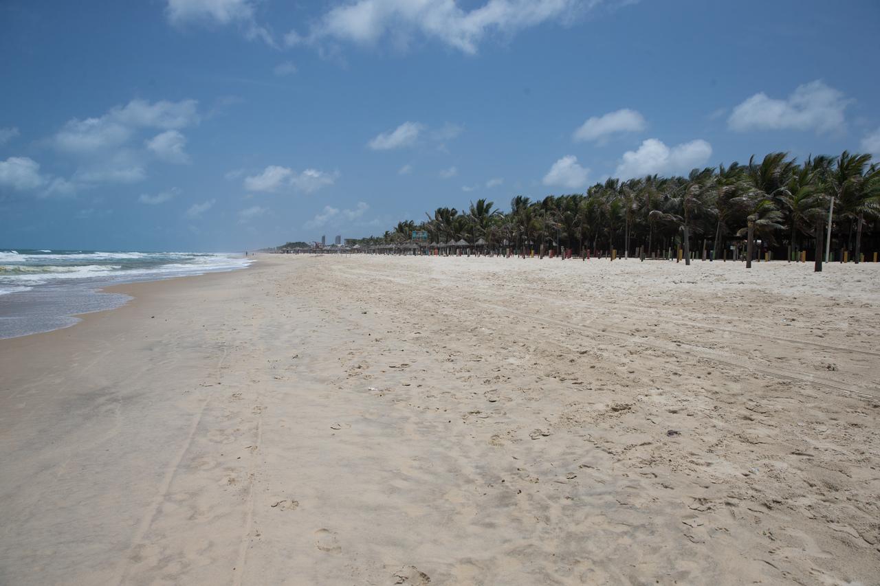 Faixa de areia com mar à esquerda e coqueiros à direita