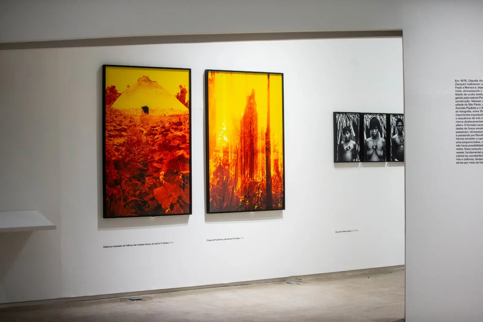 Claudia se utilizou de maneira 'errônea', como aponta o curador Eduardo Brandão, de filmes infravermelhos em experimentações fotográficas: 'Ela domina o erro'