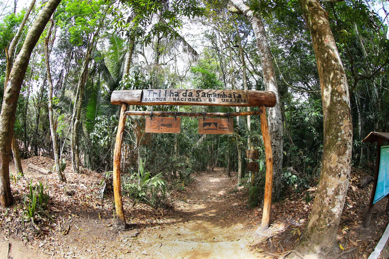 Trilha da Samabaia é uma das opções no Parque Nacional de Ubajara