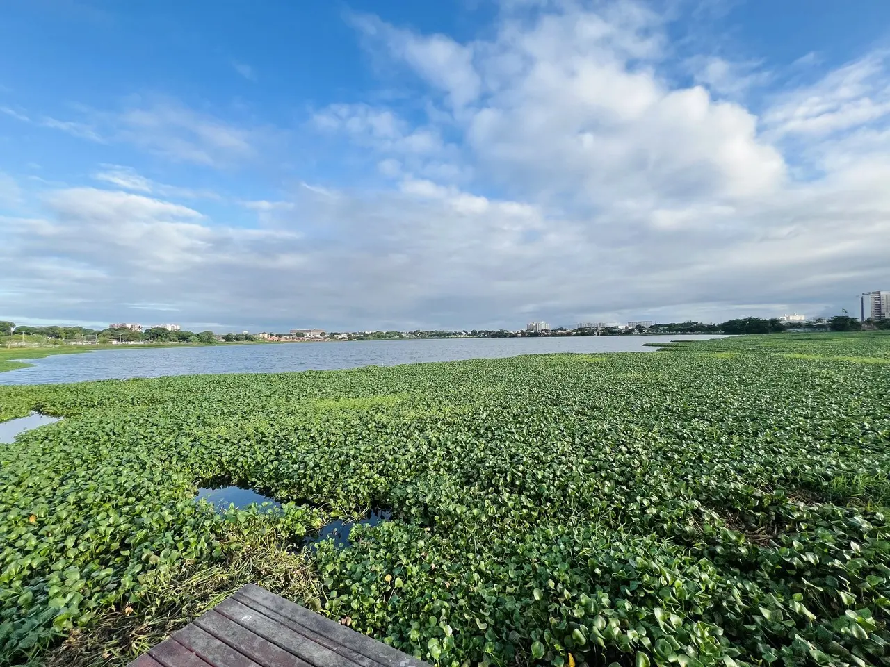 Foto da Lagoa da Parangaba, em Fortaleza