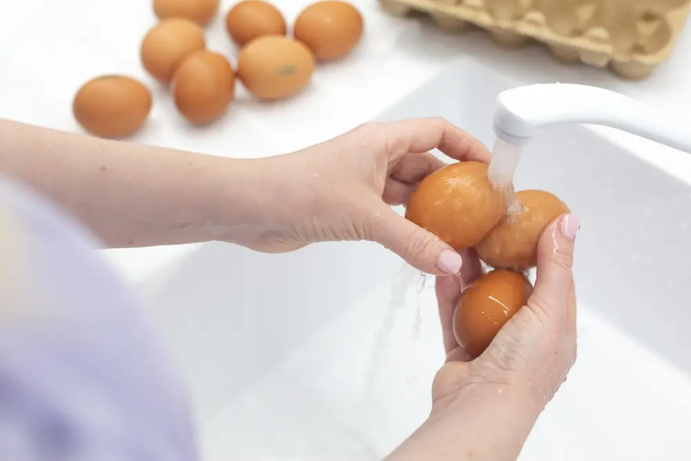 ovos sendo lavados e higienizados