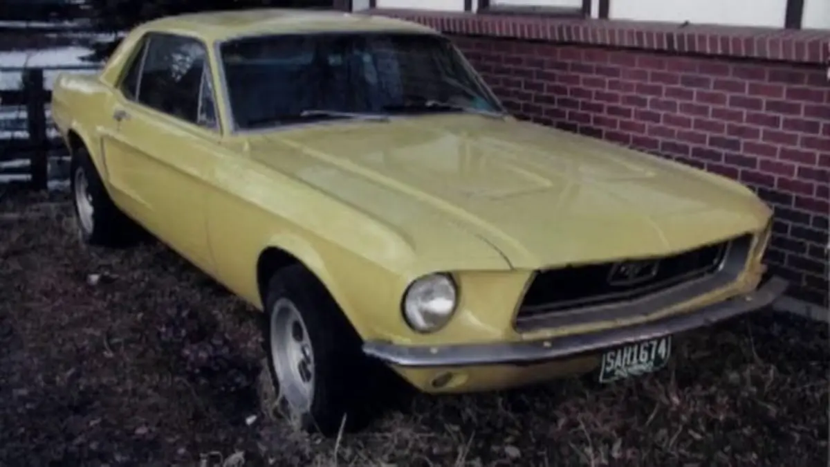 Origem, motivos e a importância da campanha setembro amarelo