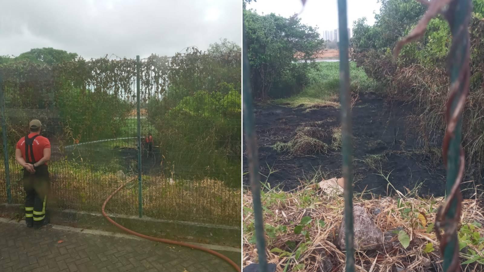 Incêndio atinge vegetação no Parque do Cocó e fumaça invade pista em Fortaleza nesta terça (29)