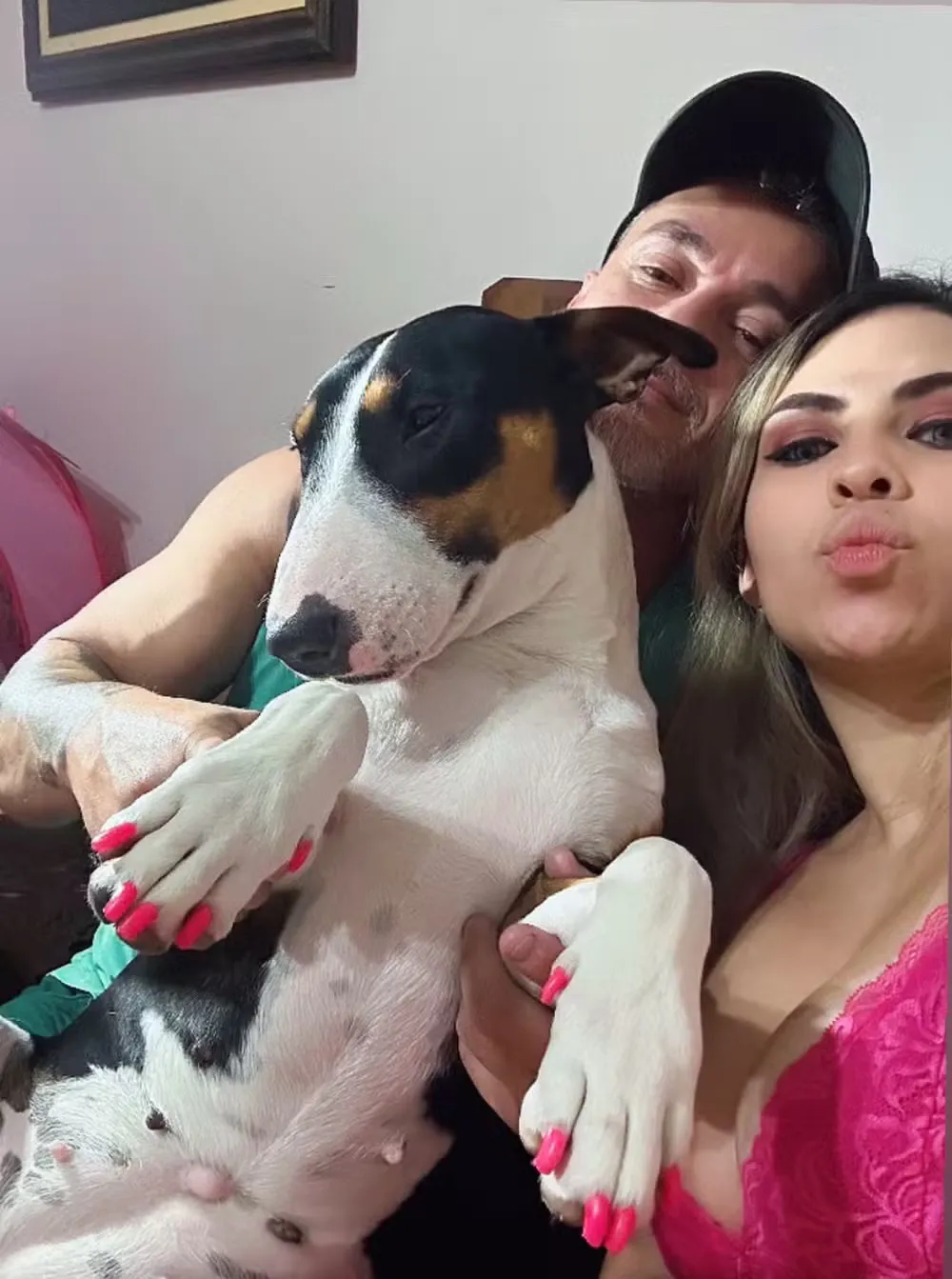 Na intriga, também está em jogo a cachorra Maya, que aparece em fotos com as três ex-mulheres de Daniel