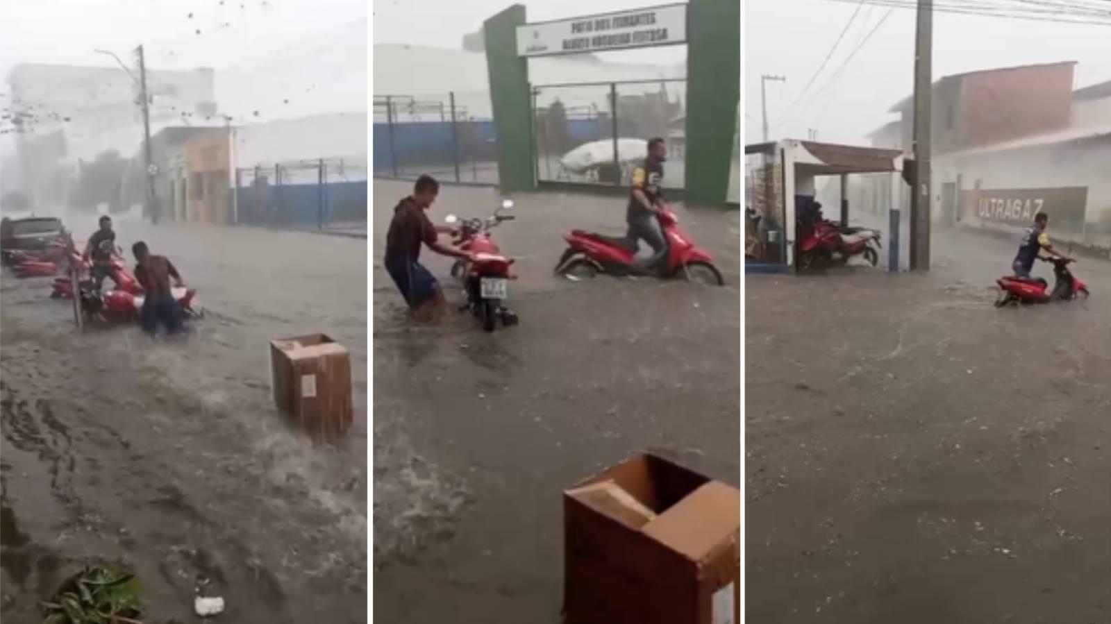 Chuva em jardim