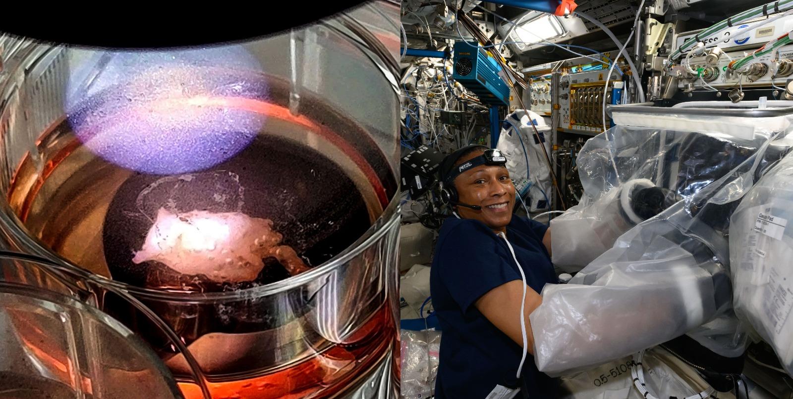 Jeanette Epps entre as melhores fotos da Estação Espacial de 2024