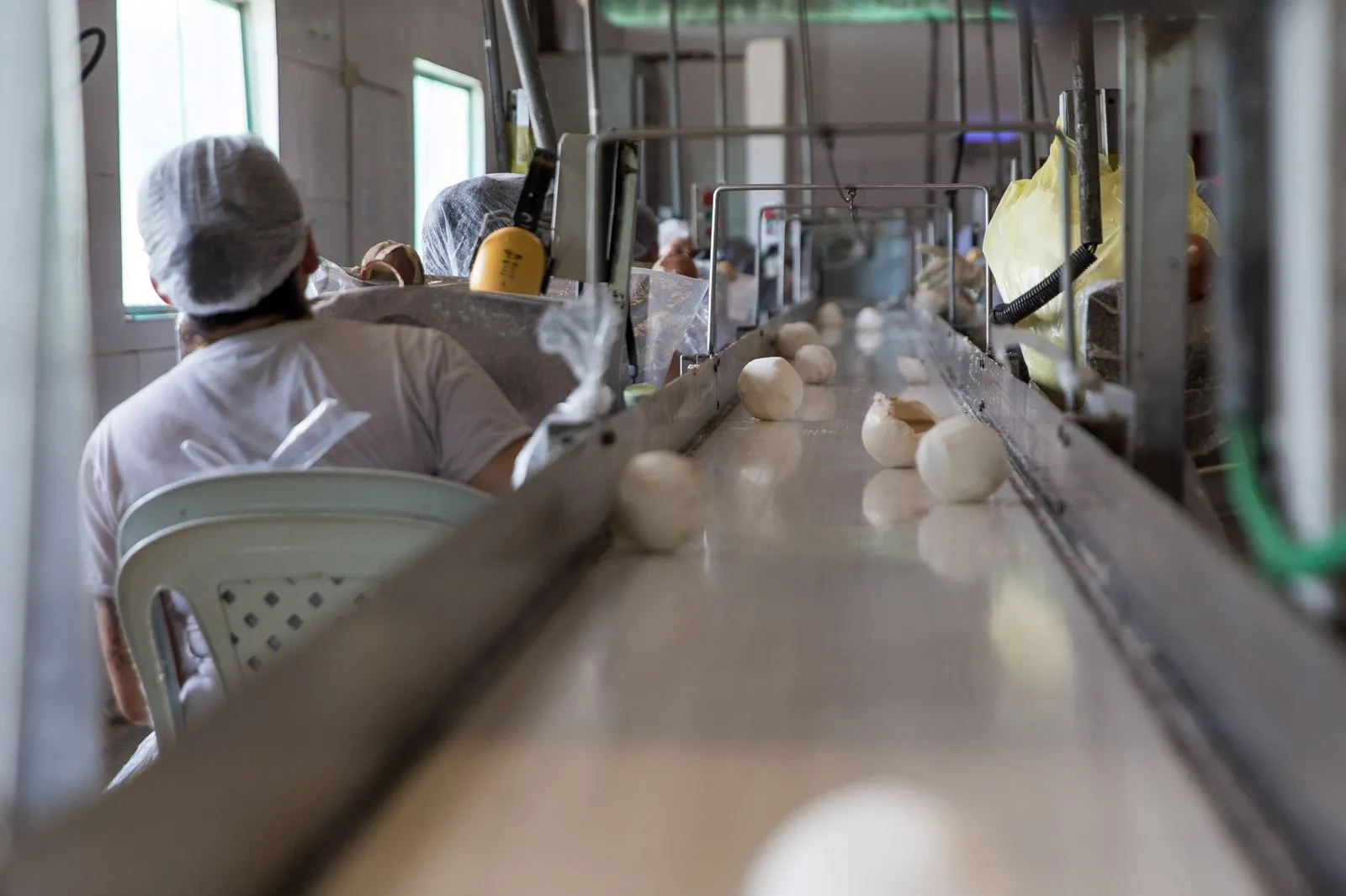 Beneficiamento do coco seco na Dikoko, em Paraipaba