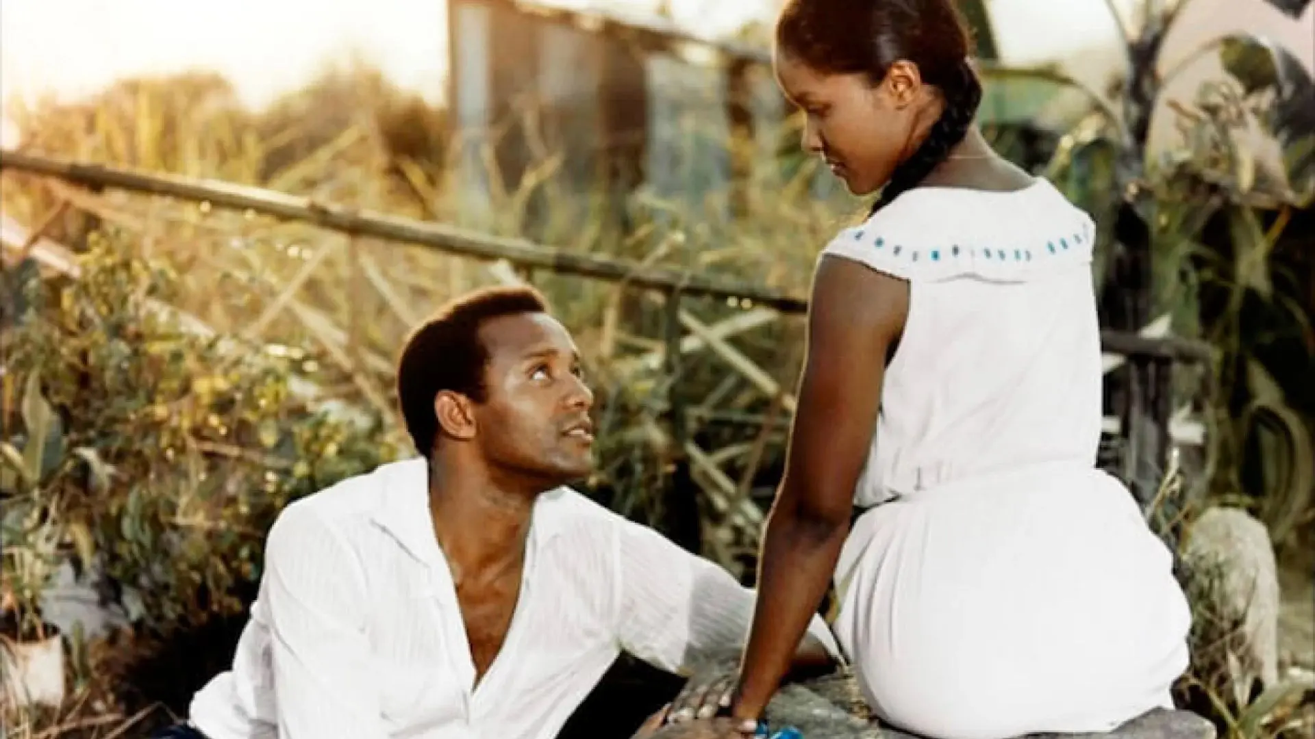 Vencedor do Globo de Ouro, do Oscar e da Palma de Ouro no Festival de Cannes