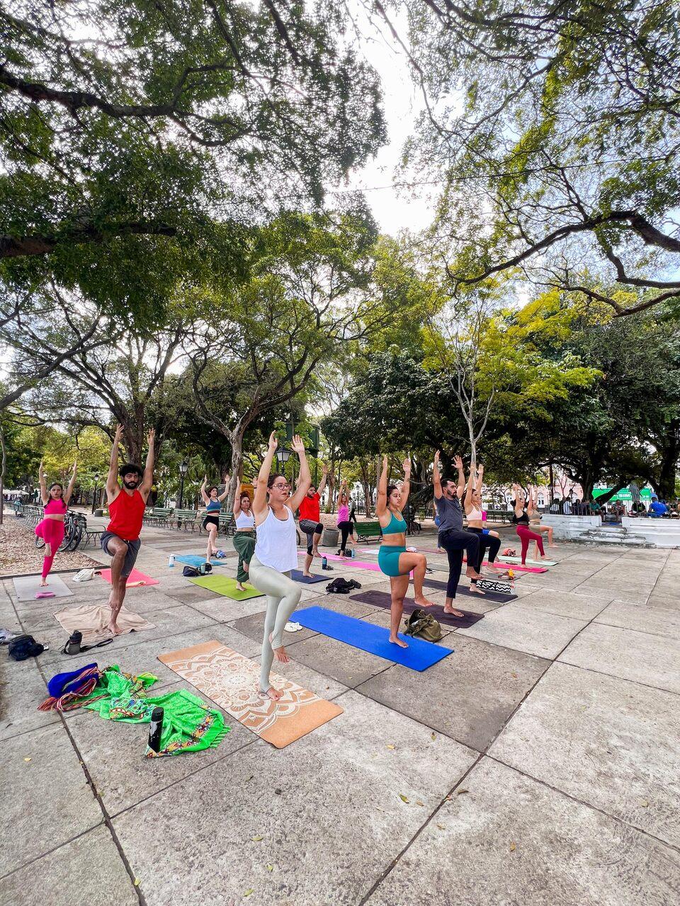 Passeio Público também recebe aulas de yoga da professora Raquel Amapos