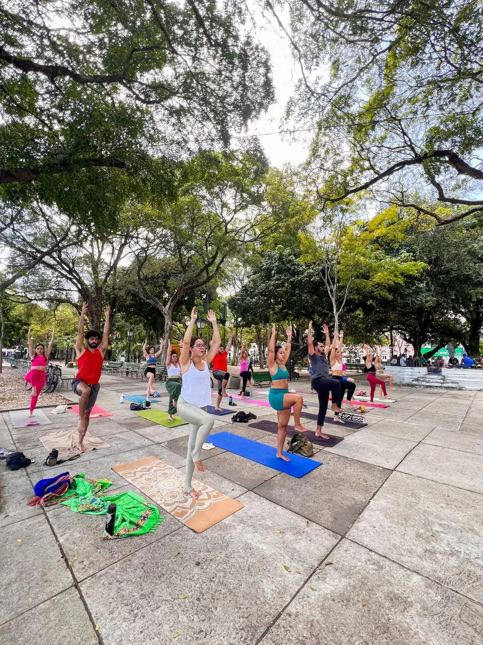 Passeio Público também recebe aulas de yoga da professora Raquel Amapos