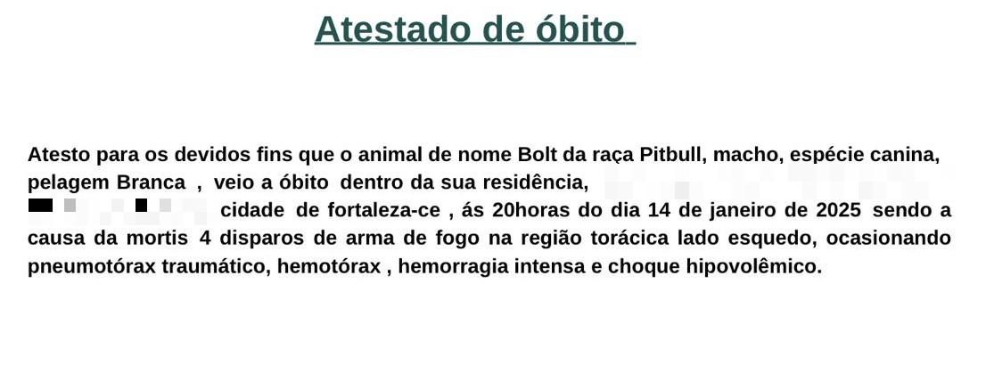 Captura de tela do atestado de óbito do Pitbull que foi morto a tiros por policial militar em Fortaleza