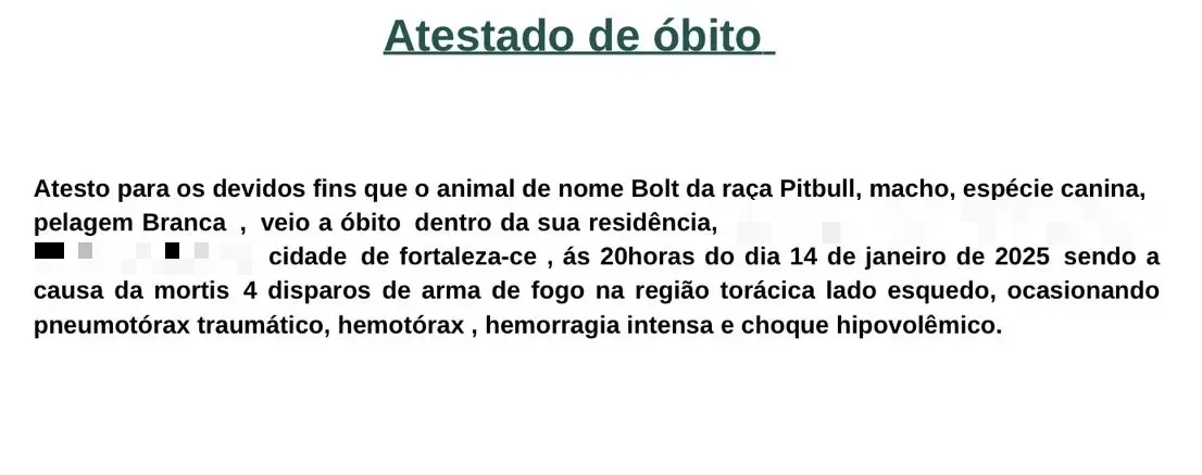 Captura de tela do atestado de óbito do Pitbull que foi morto a tiros por policial militar em Fortaleza