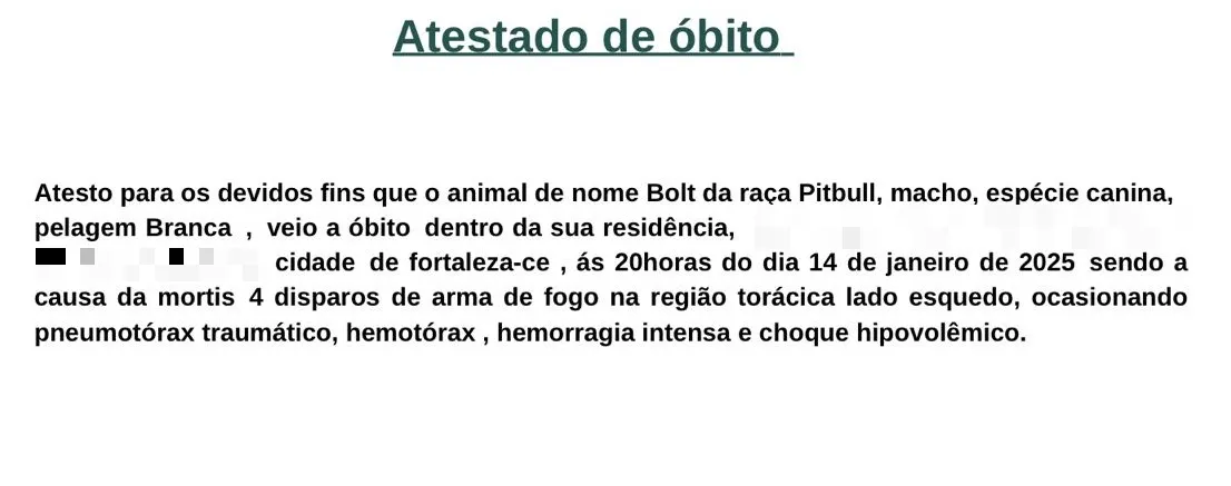 O cachorro foi atingido por quatro tiros na região do tórax e morreu em casa