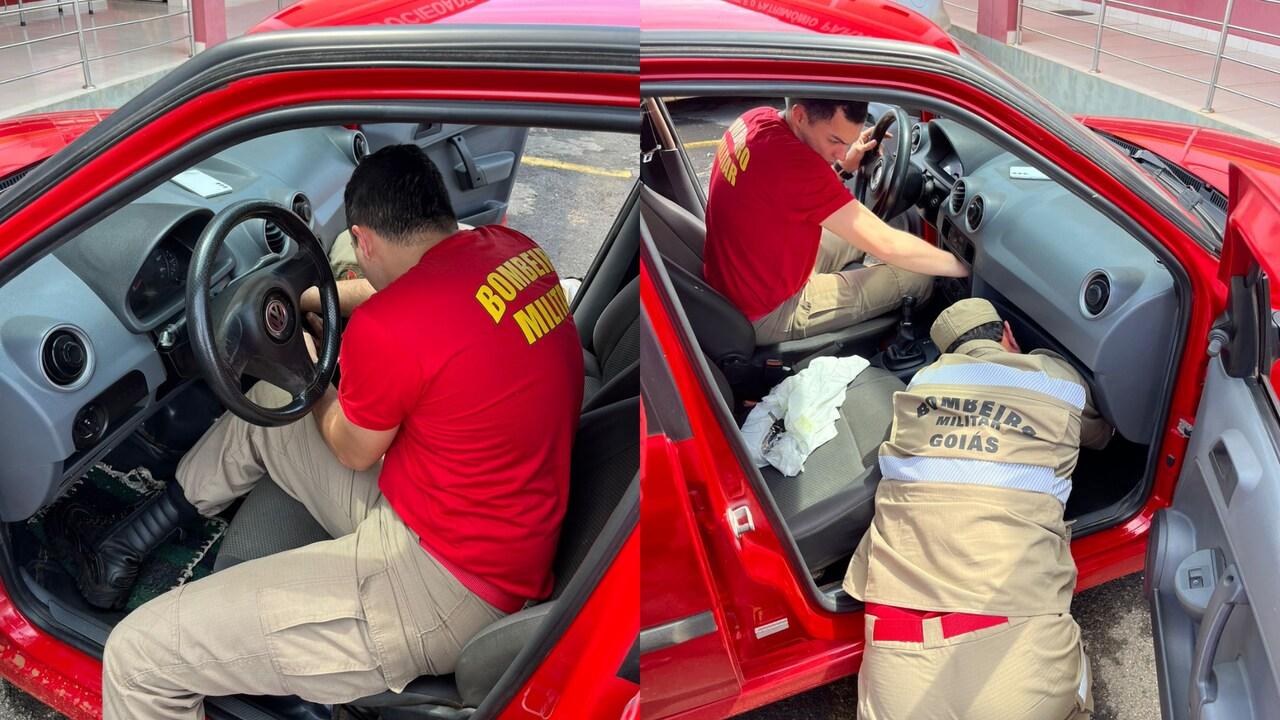 Imagens de bombeiros resgatando um cachorrinho que ficou preso no som do carro.