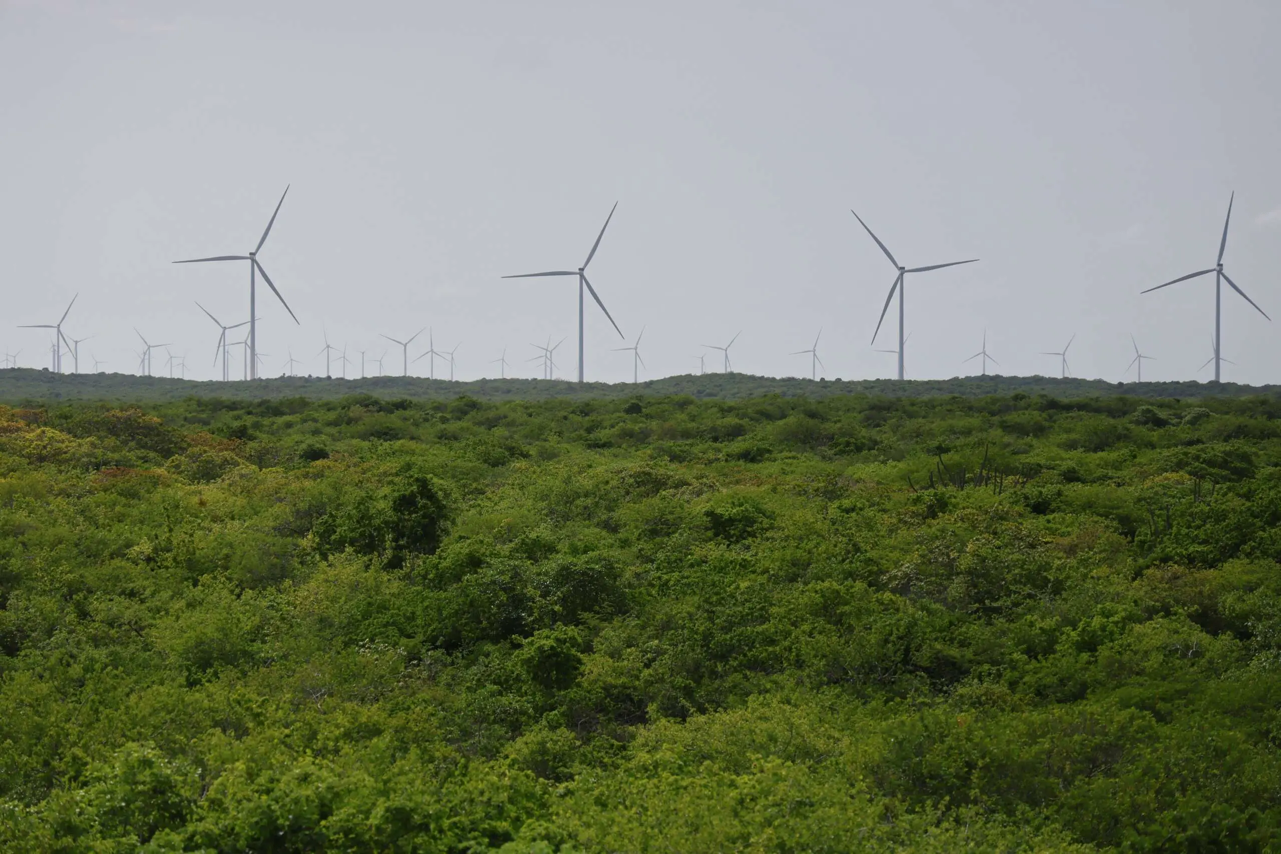 O parque gerador tem capacidade instalada de 112,5 MW, contando com 25 aerogeradores