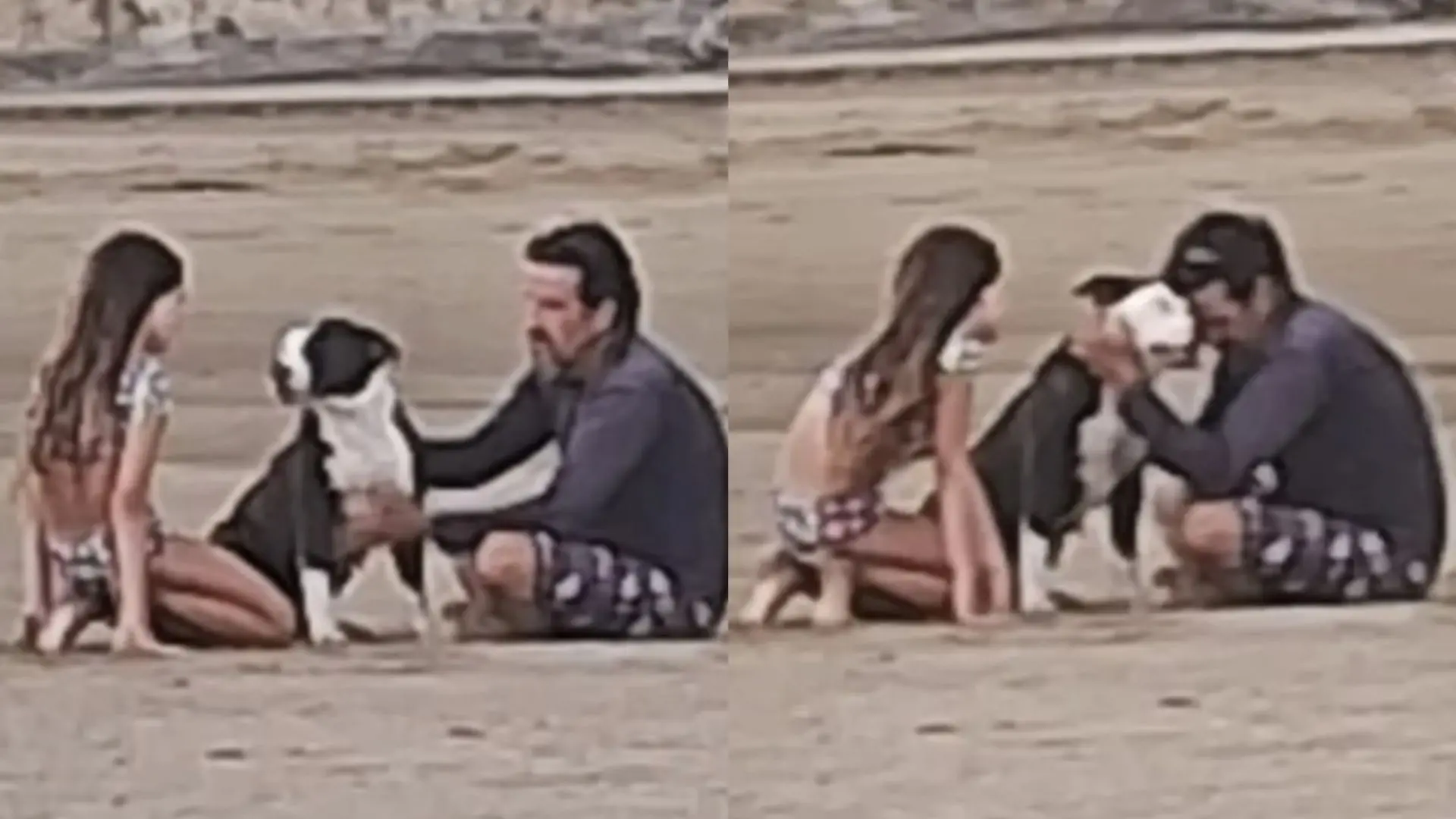 Imagem de um homem e uma menina brincando com um cachorro na praia, transmitindo alegria e união entre amigos de quatro patas e humanos.