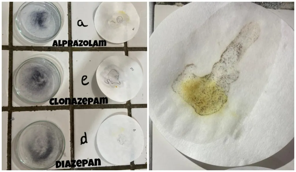 A equipe realizou diversos testes para encontrar um reagente colorimétrico não tóxico que interagisse de forma positiva com benzodiazepínicos em bebidas