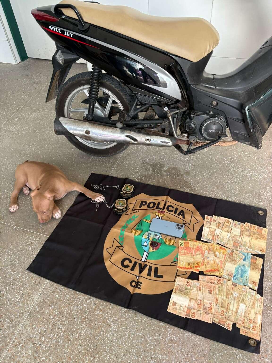 Filhote de pitbull, moto e dinheiro apreendidos