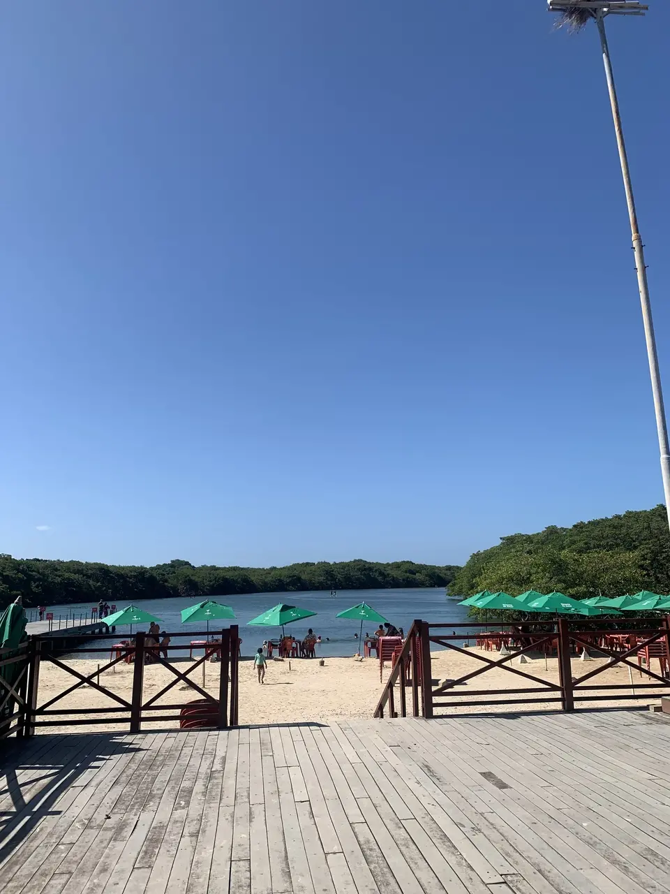 Rio Cocó, em meio à vegetação, em Fortaleza