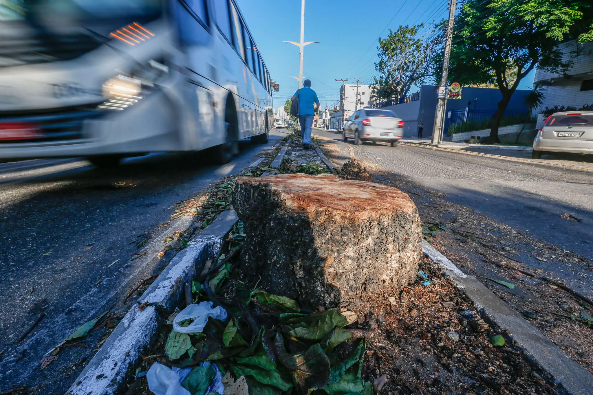 Tronco de árvore cortada em avenida de Fortaleza. Pesquisa do IBGE investigou características do entorno dos domicílios.