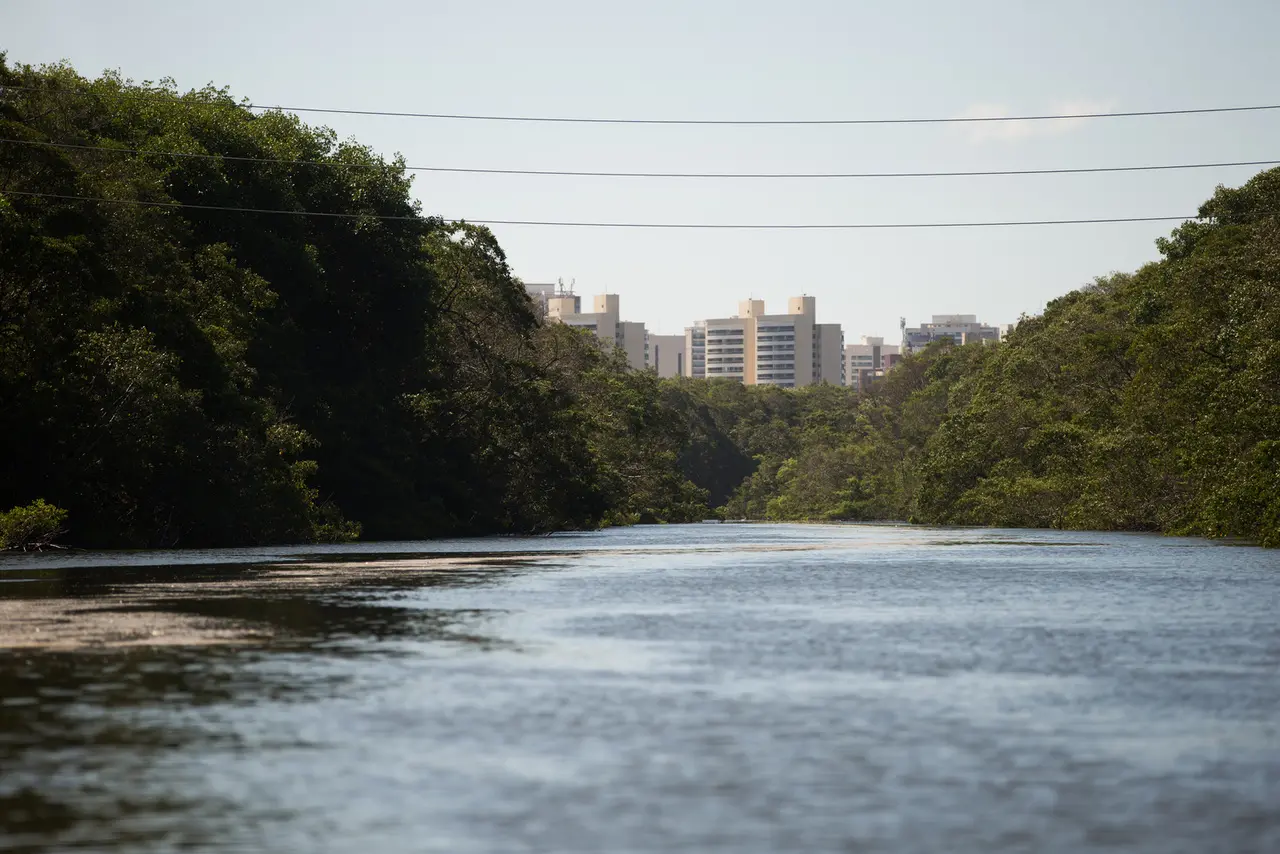 Uma das hipóteses do estudo é que a presença de contaminantes pode interferir na produção de células vermelhas