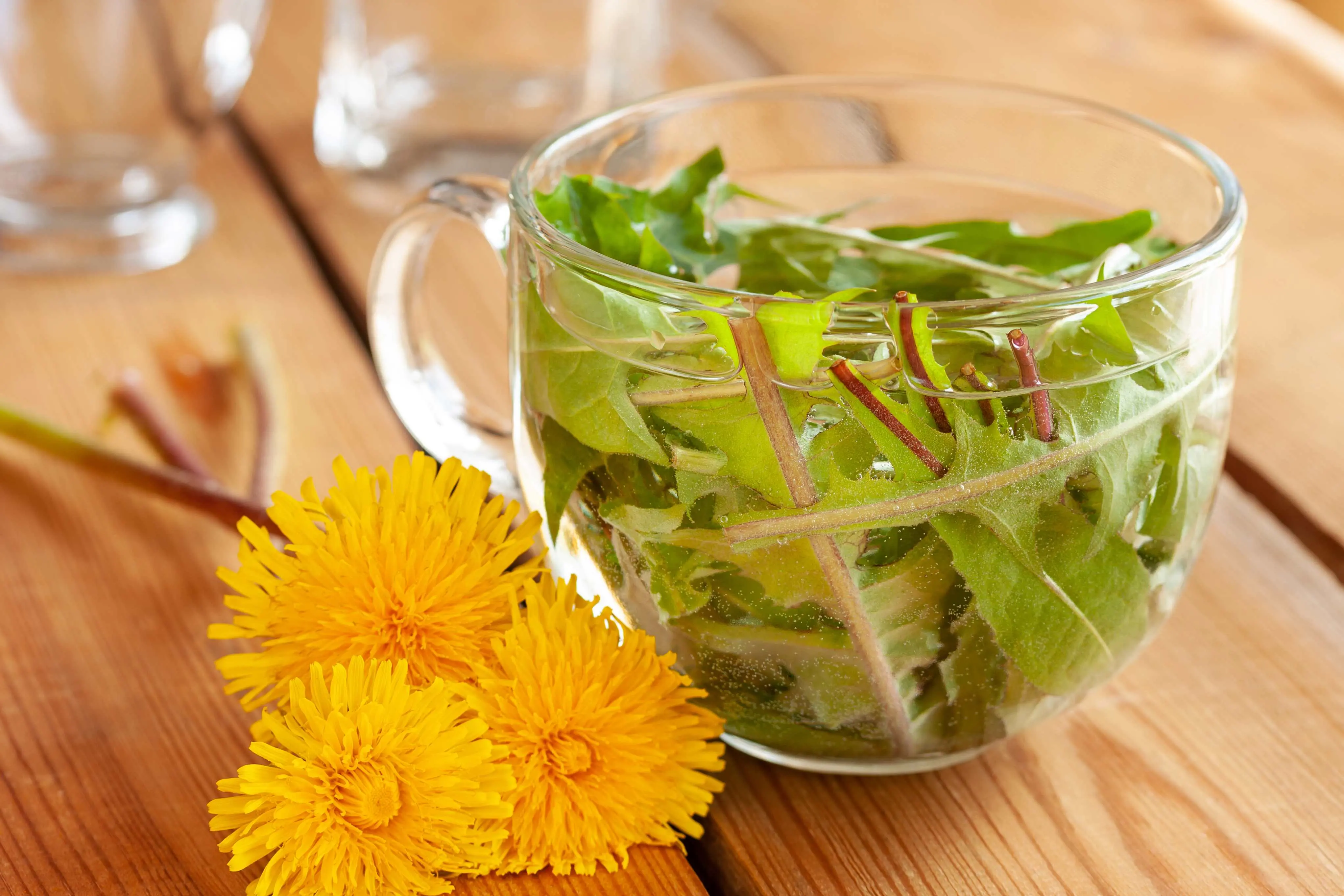 Imagem do chá de dente-de-Leão em uma xícara transparente. A xícara está em uma mesa de madeira e ao lado de plantas.
