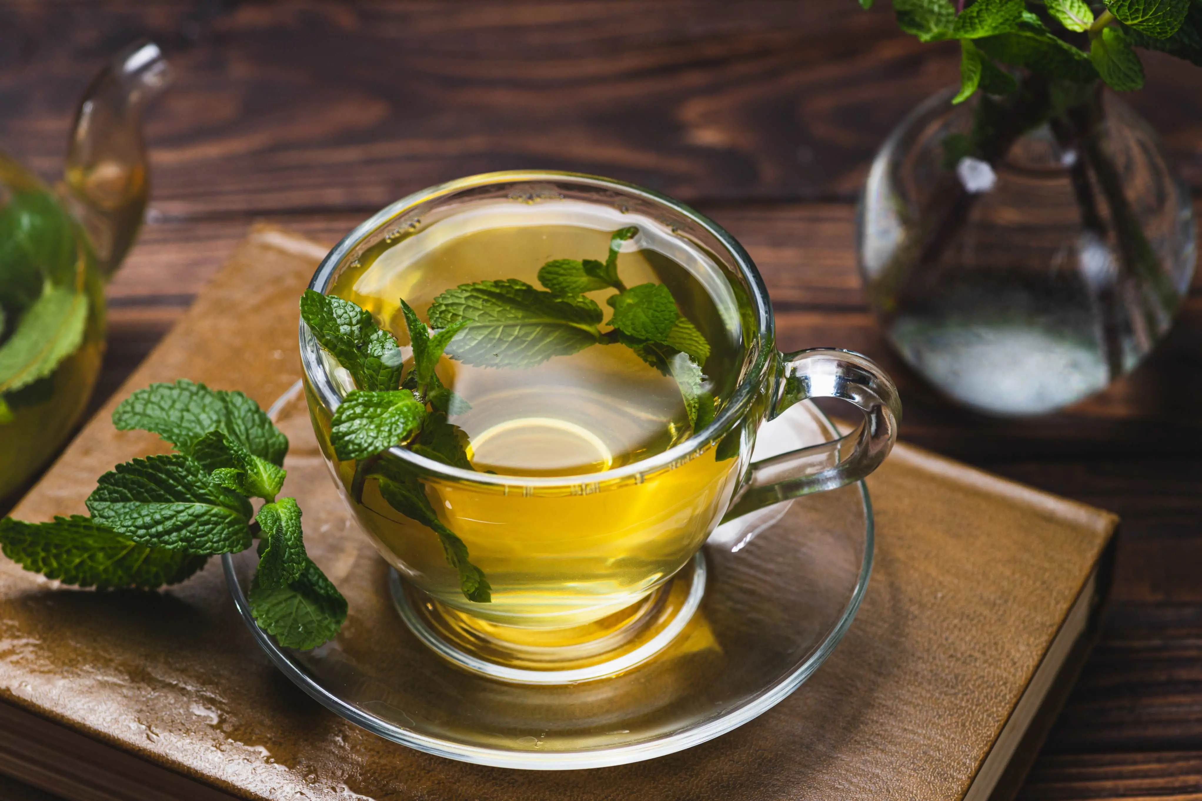 Imagem de uma xícara transparente com chá de hortelã