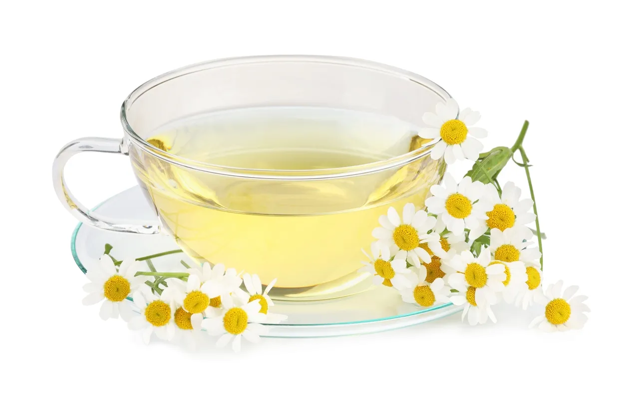 Ingredientes naturais do chá de camomila é reconhecido por suas propriedades anti-inflamatórias
