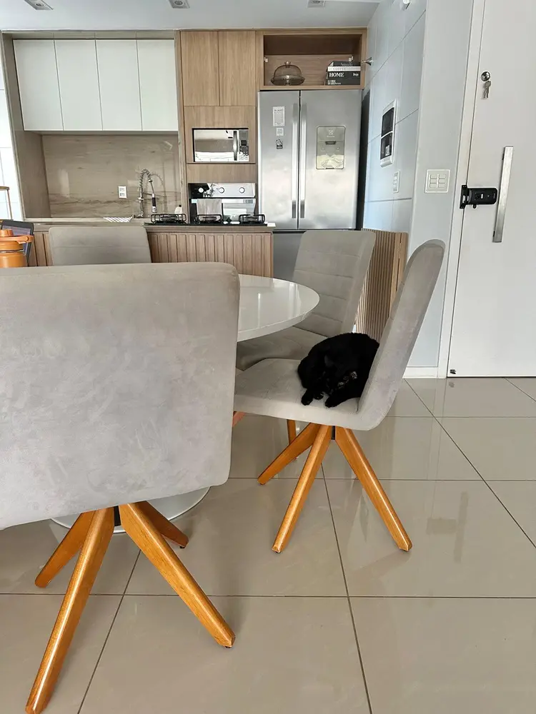 Na imagem, exemplo de cadeira com tecido veludo italiano