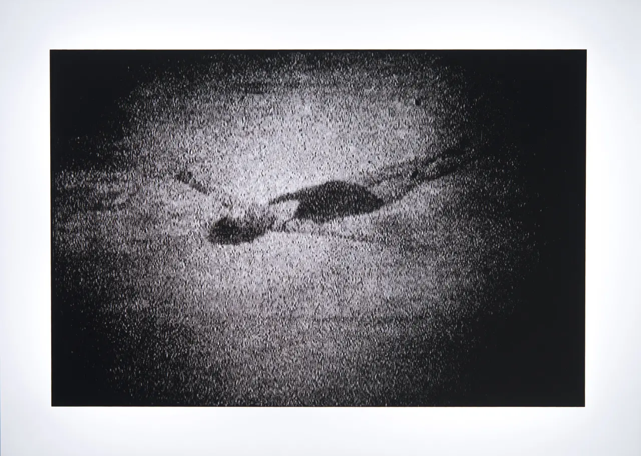 Obra sem título da série 'Vida da minha vida' (2019), do cearense Yuri Firmeza, pertencente à coleção da Pinacoteca do Ceará