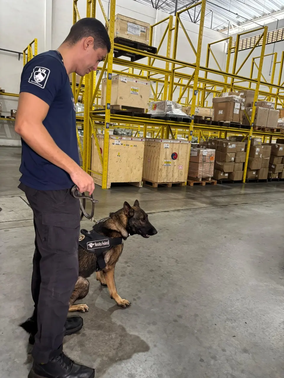 Cachorro da receita federal e seu tutor no terminal de cargas do aeroporto de fortaleza