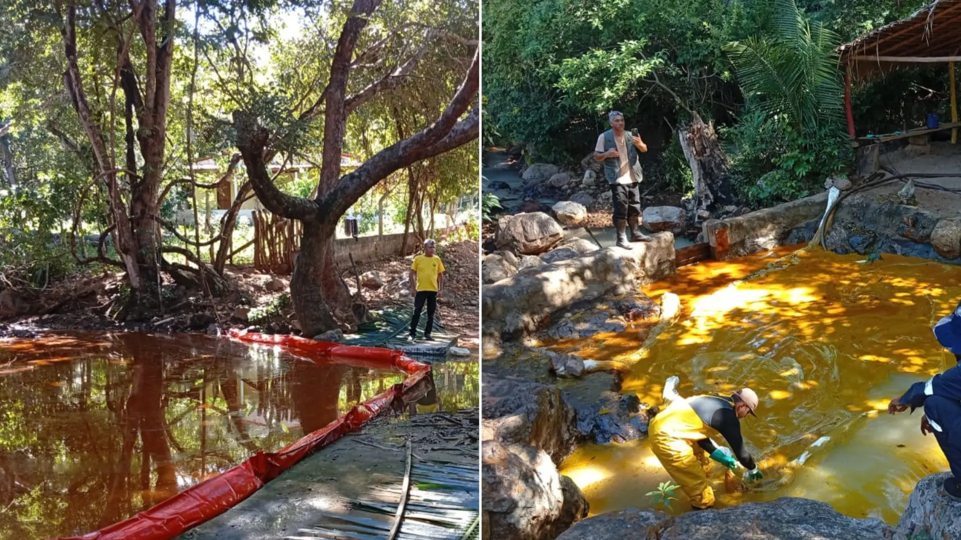 Montagem de fotos da limpeza de um rio em Tianguá, no Ceará, que foi atingido por derramamento de óleo de soja