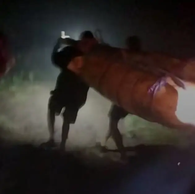 Corpo de Juliana Marins foi içado por equipes de resgate