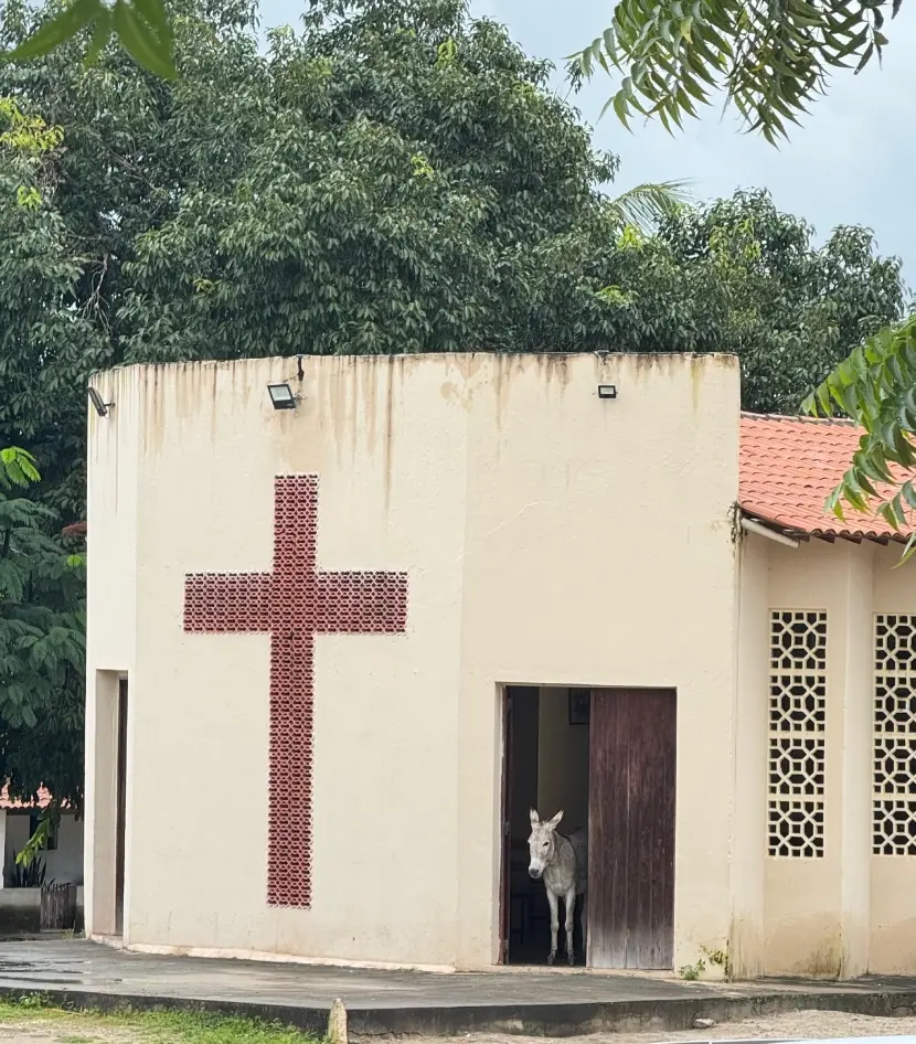Jumento em igreja no interior do Ceará