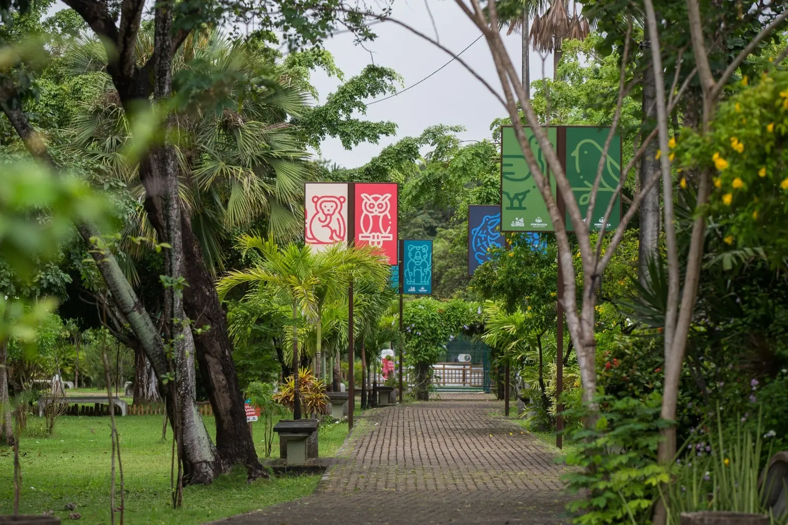 foto de área interna do zoológico de Fortaleza