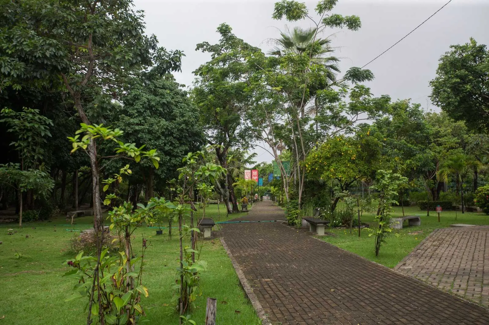 foto de área interna do zoológico de Fortaleza