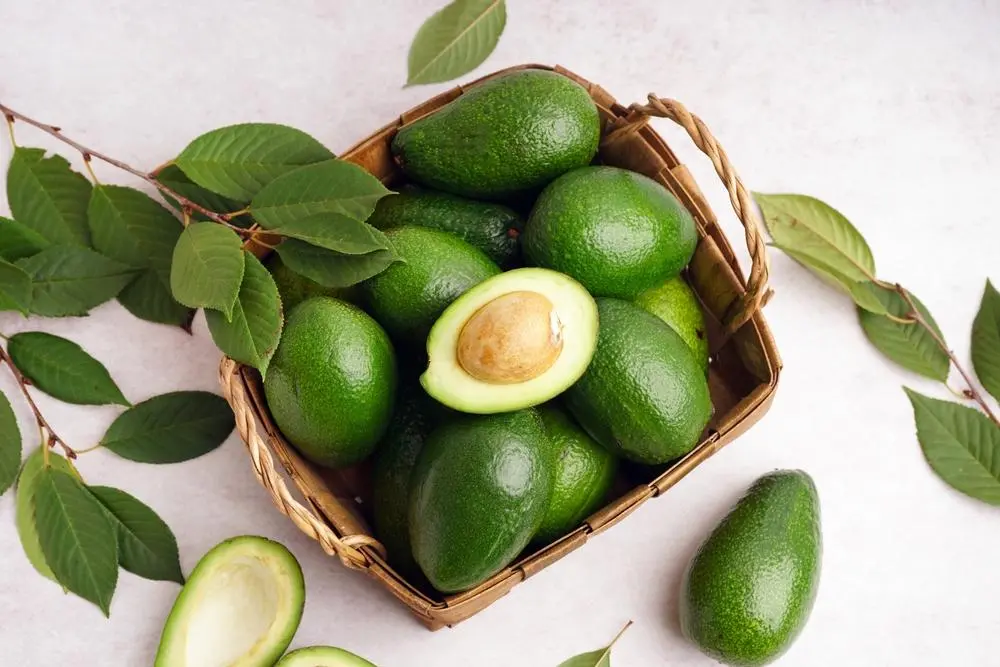 foto de cesta com abacates cercada de folhas da fruta