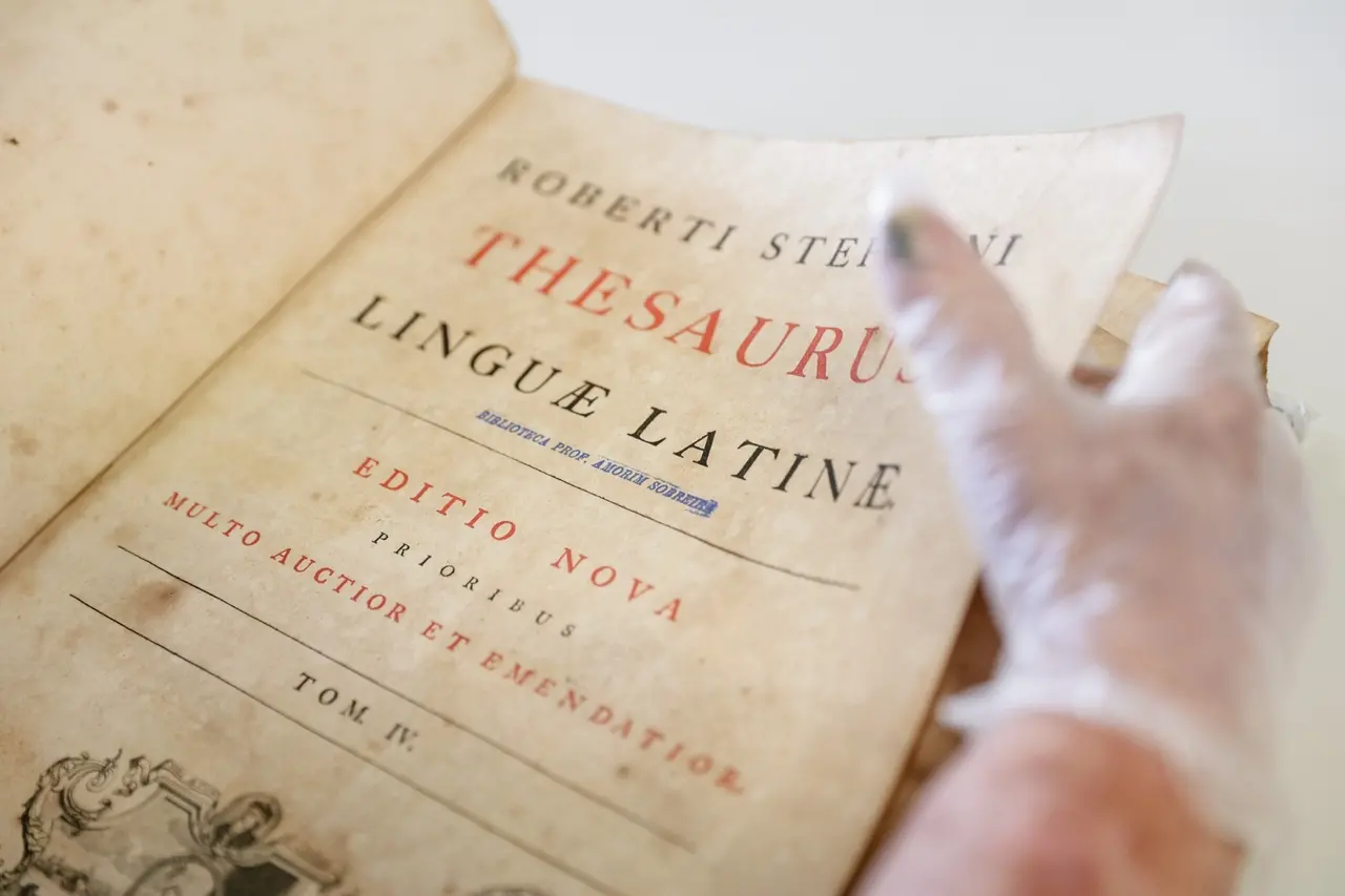 Obras escritas em diferentes línguas, como português, latim clássico, francês e inglês, e de diferentes tamanhos compõem o acervo