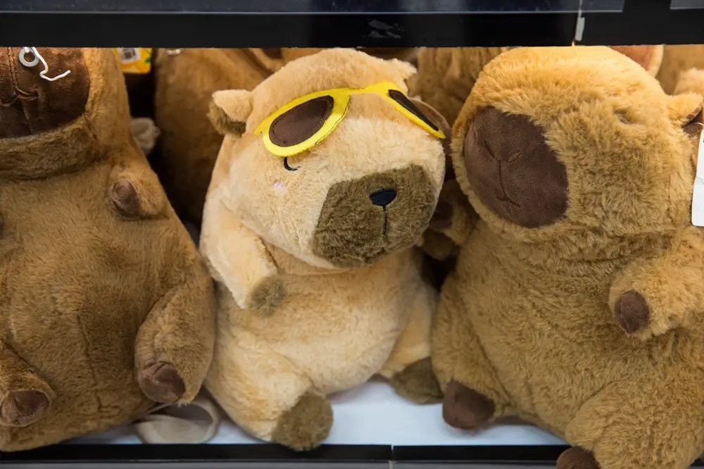 Na imagem, pelúcia de capivara disponível na loja NewShop Presentes, no Centro de Fortaleza