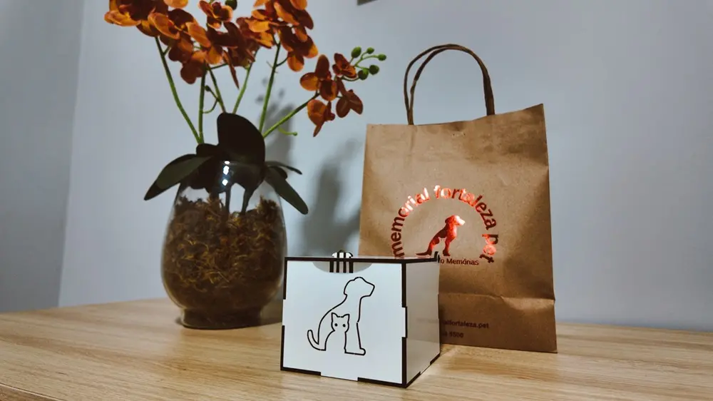 Na imagem, itens de despedida durante a realização de funerais pet