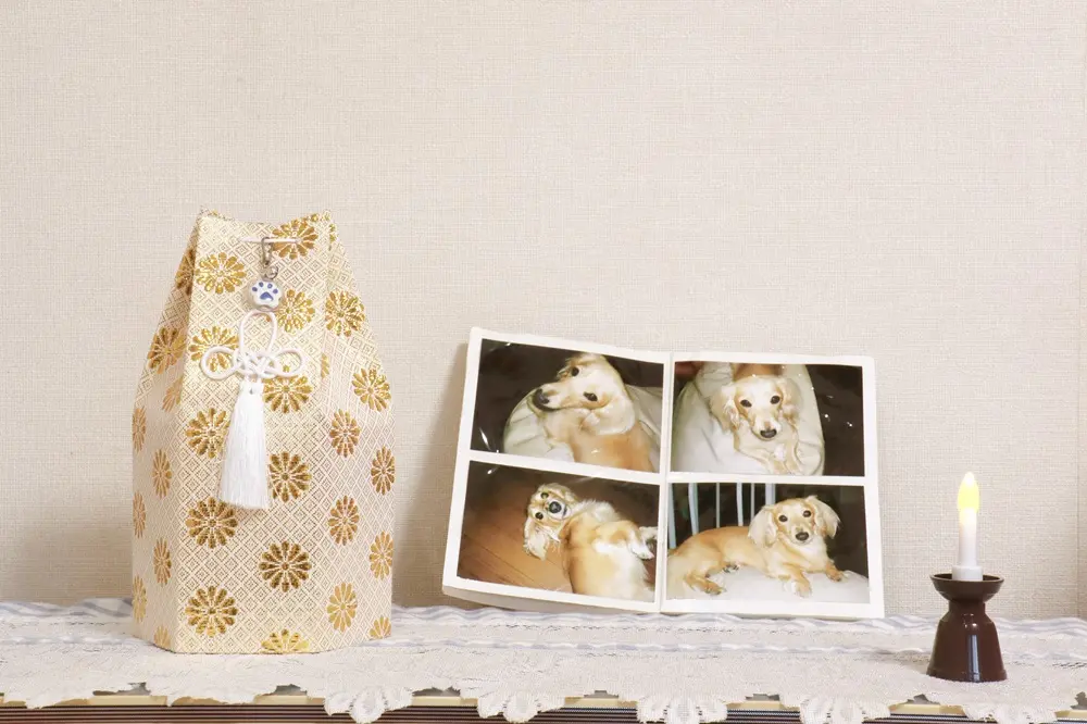 Na imagem, lembrança ilustrativa de funeral pet